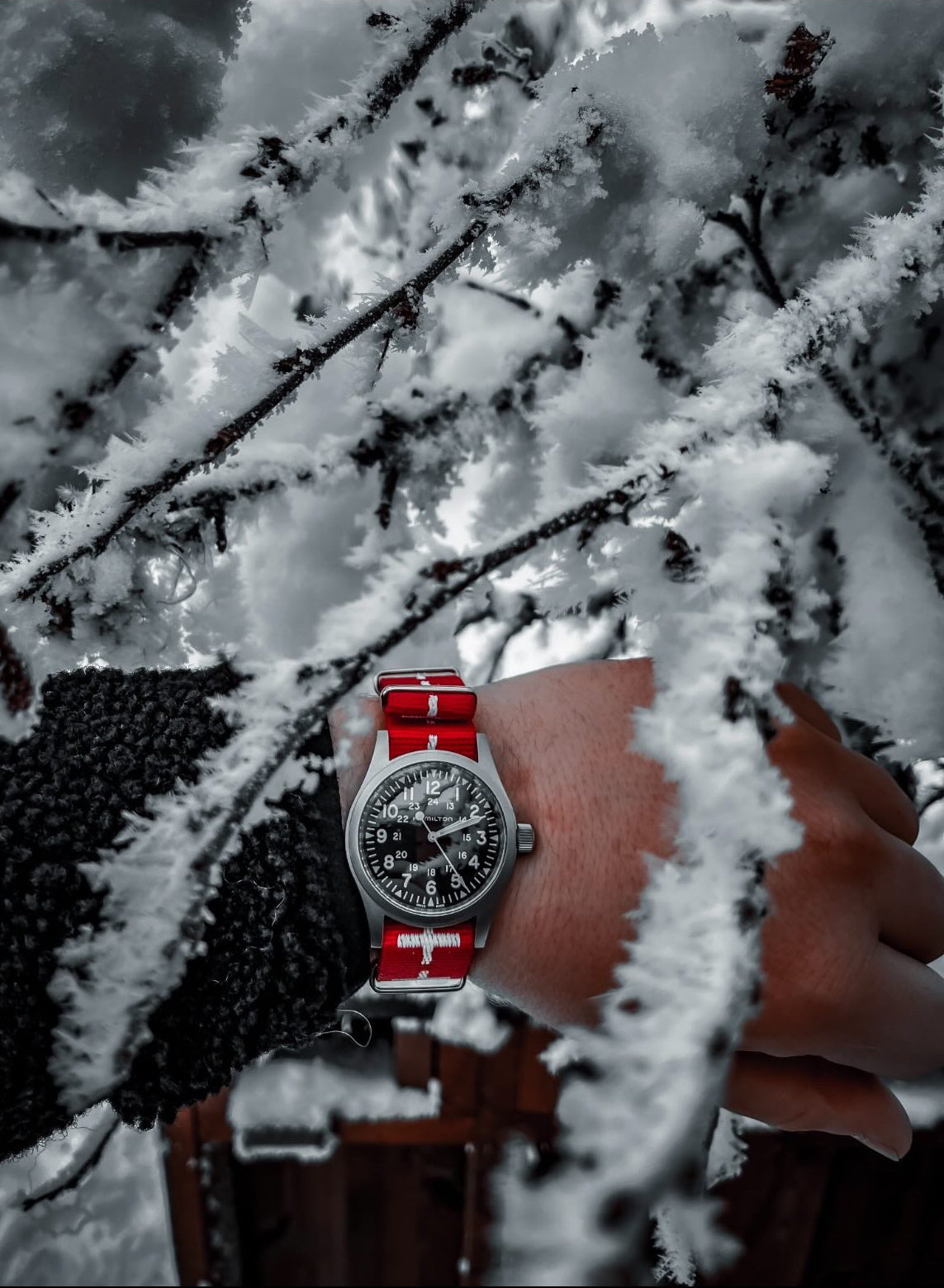 NATO-rem 20MM rød/hvide kors (Schweiz)